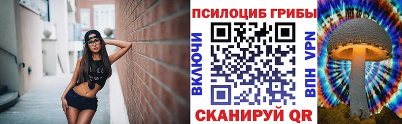 Псилоцибиновые грибы ЛСД  наркотики  Шелехов 